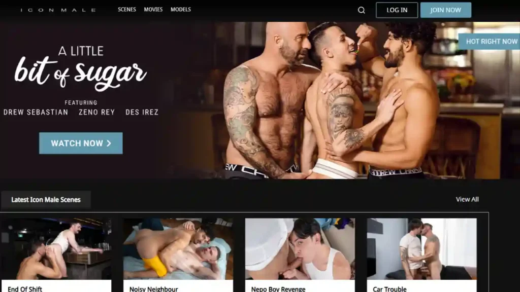 Icon Male Review 2026: Explore Passionate Gay Romance with Stunning 4K Quality Icon-Male-review-highlights-premium-gay-content-with-cinematic-storytelling-wowkum-com-4