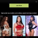 Top features covered in SpiceVids review for premium adult content wowkum com 2