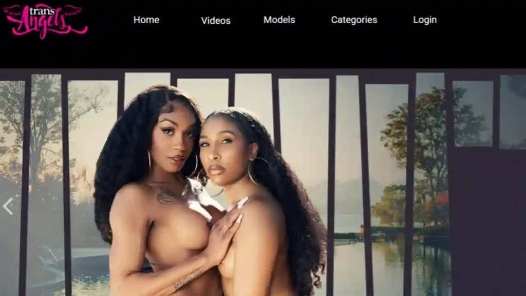 TransAngels Review 2026: Premium Trans Porn with Top Stars, High-Quality Videos & Secure Access TransAngels-review-video-library-with-exclusive-high-definition-trans-erotica-wowkum-com-3