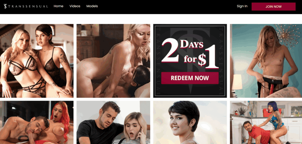 TransSensual Review 2025: Sensual Trans Erotica with Elite Performers & Cinematic Quality TransSensual review adult film still highlighting real chemistry and artistic storytelling wowkum com 1